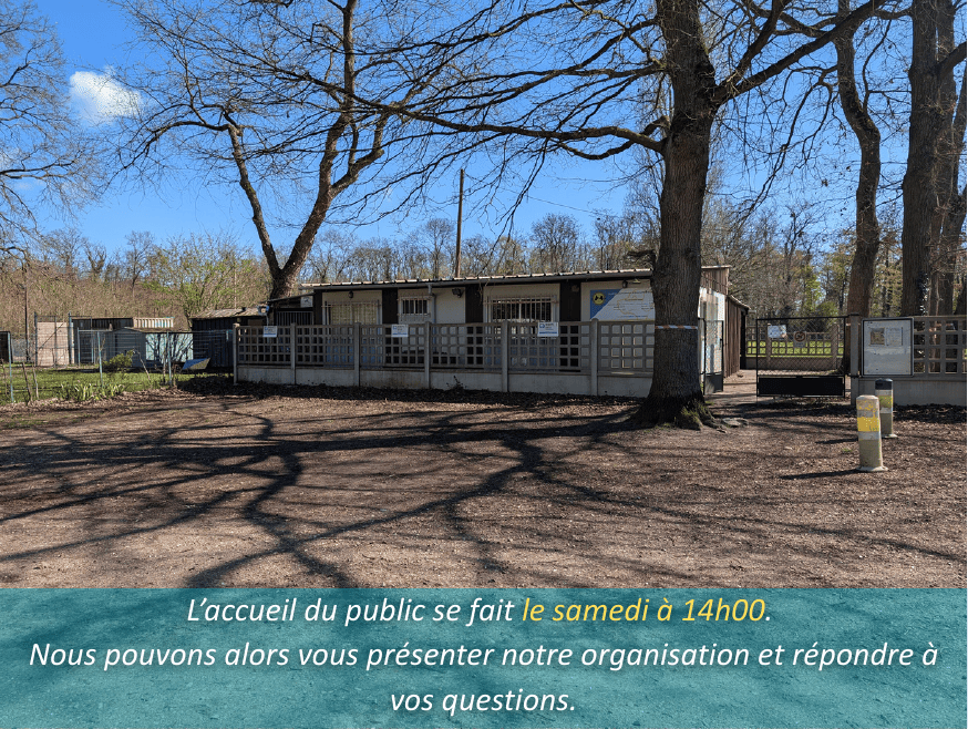 Photo du club 1