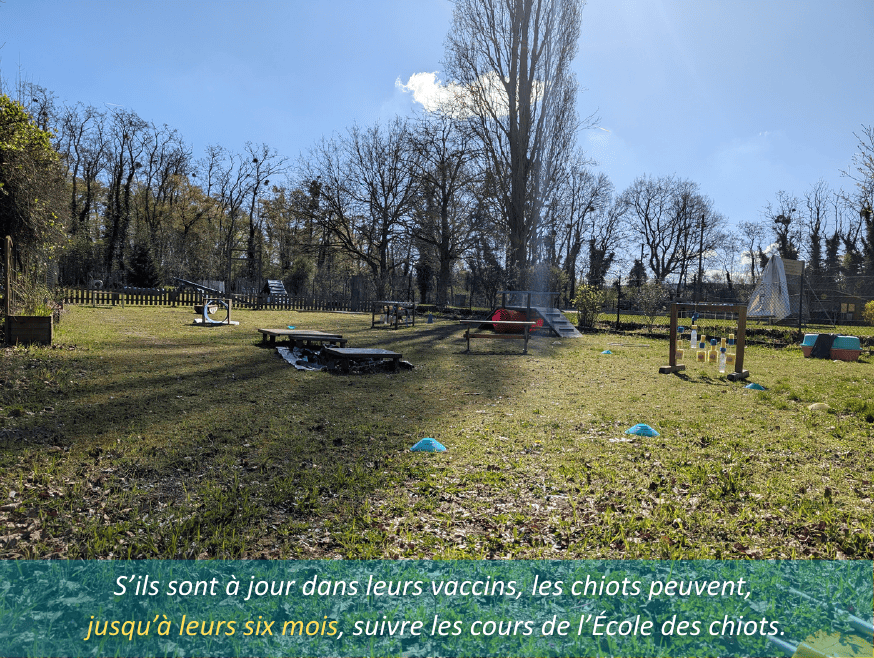 Photo du club 2