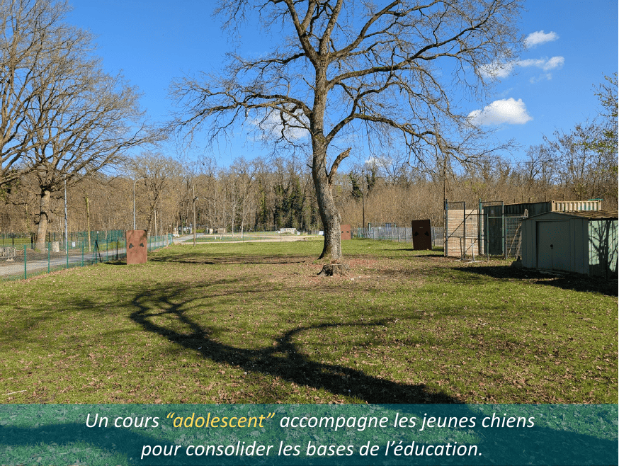 Photo du club 3