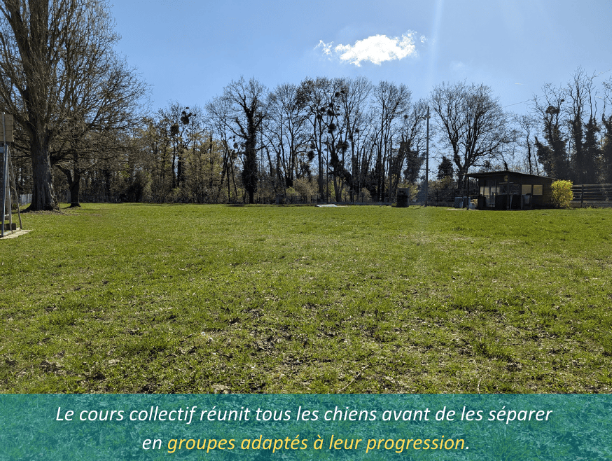 Photo du club 5